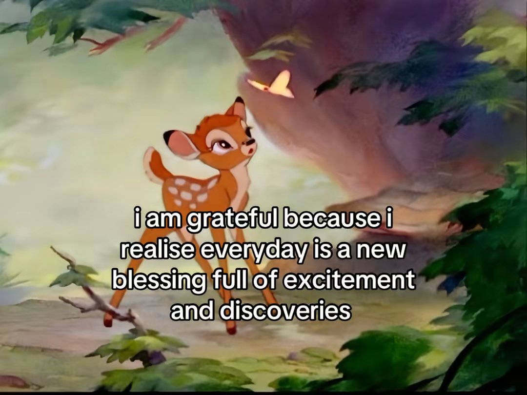 i am grateful because i realise everyday is a new blessing full of excitement and discoveries