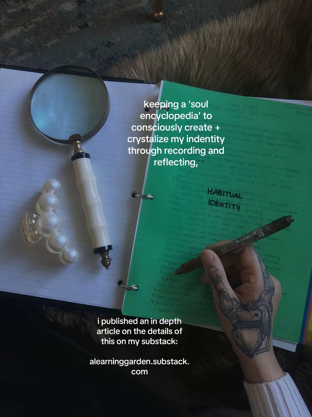 Substack Newsletter And Art Commissions by @alearninggarden slide 11