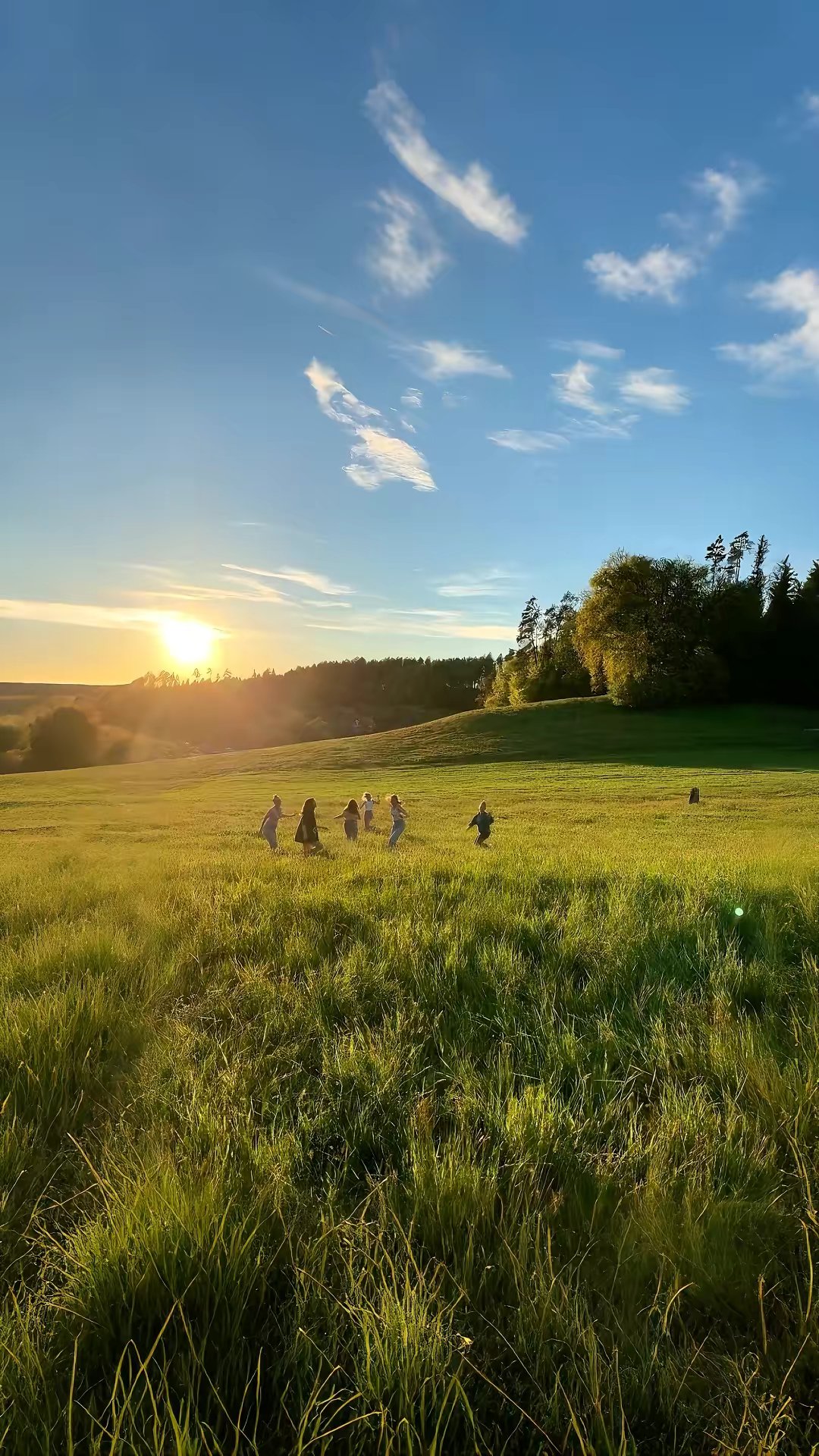 No visible text; the hook is a peaceful golden-hour field scene.