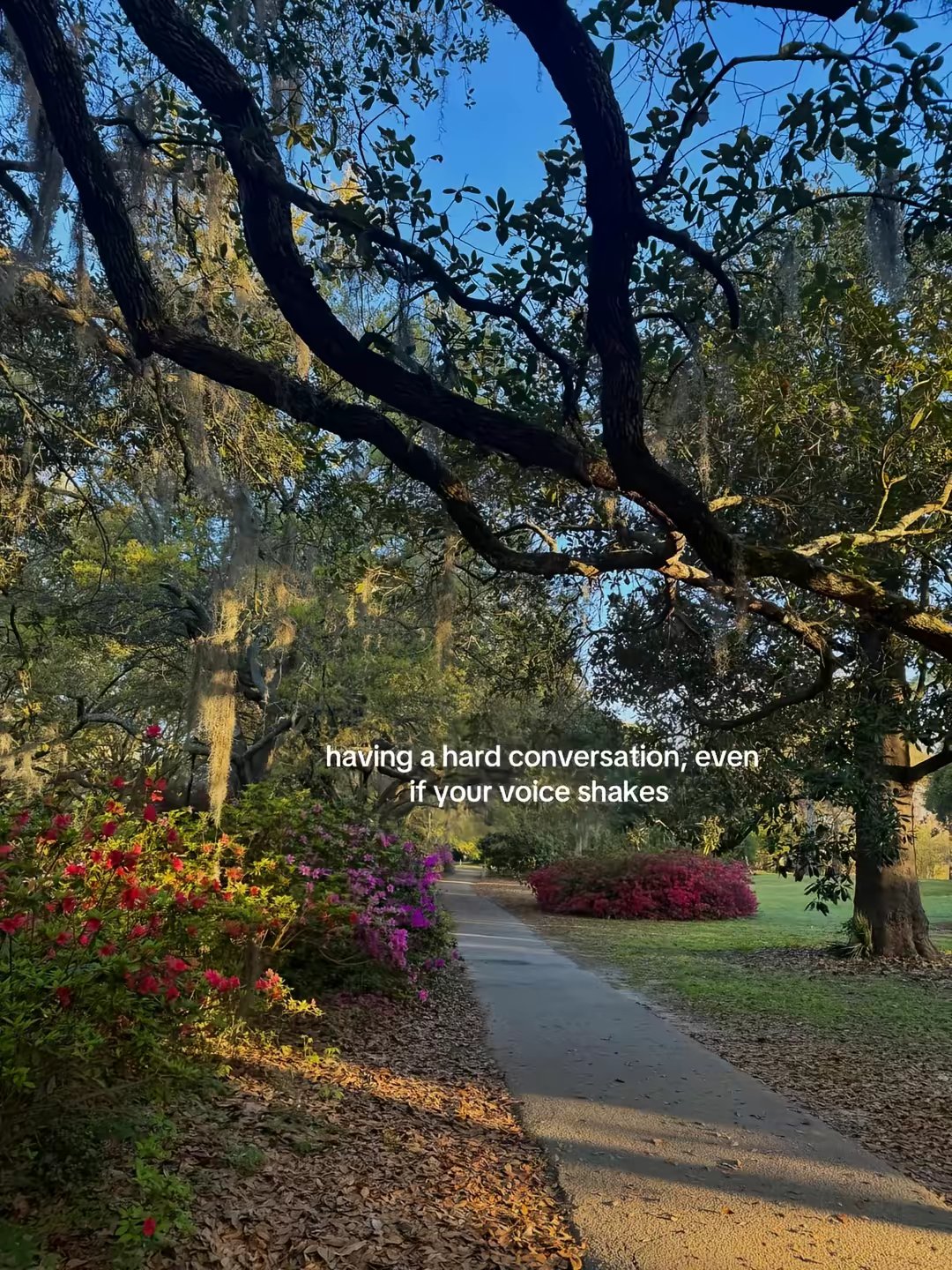 Nervous System Healing Coaching by @audreyabrothers slide 4