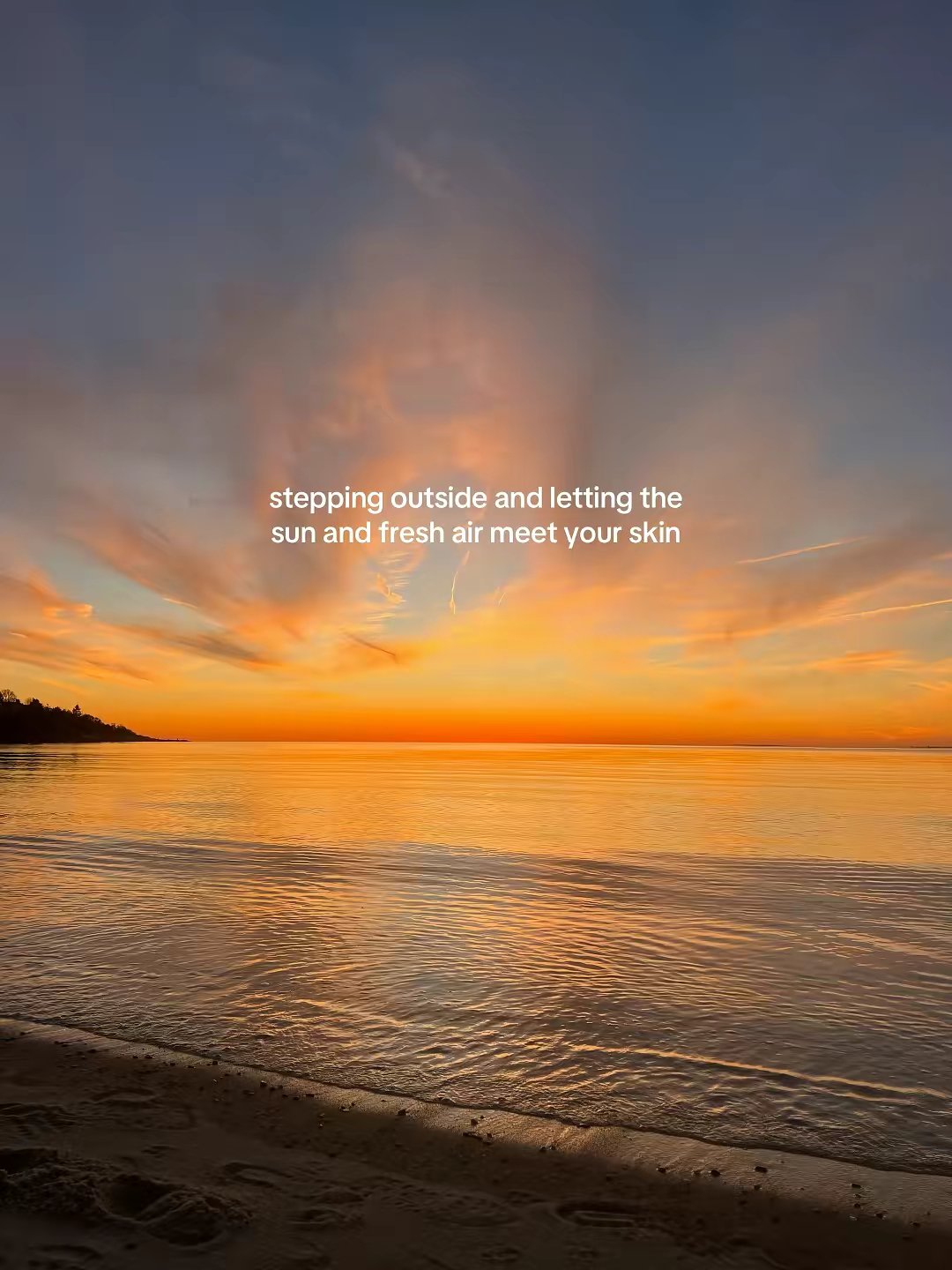 Nervous System Healing Coaching by @audreyabrothers slide 12