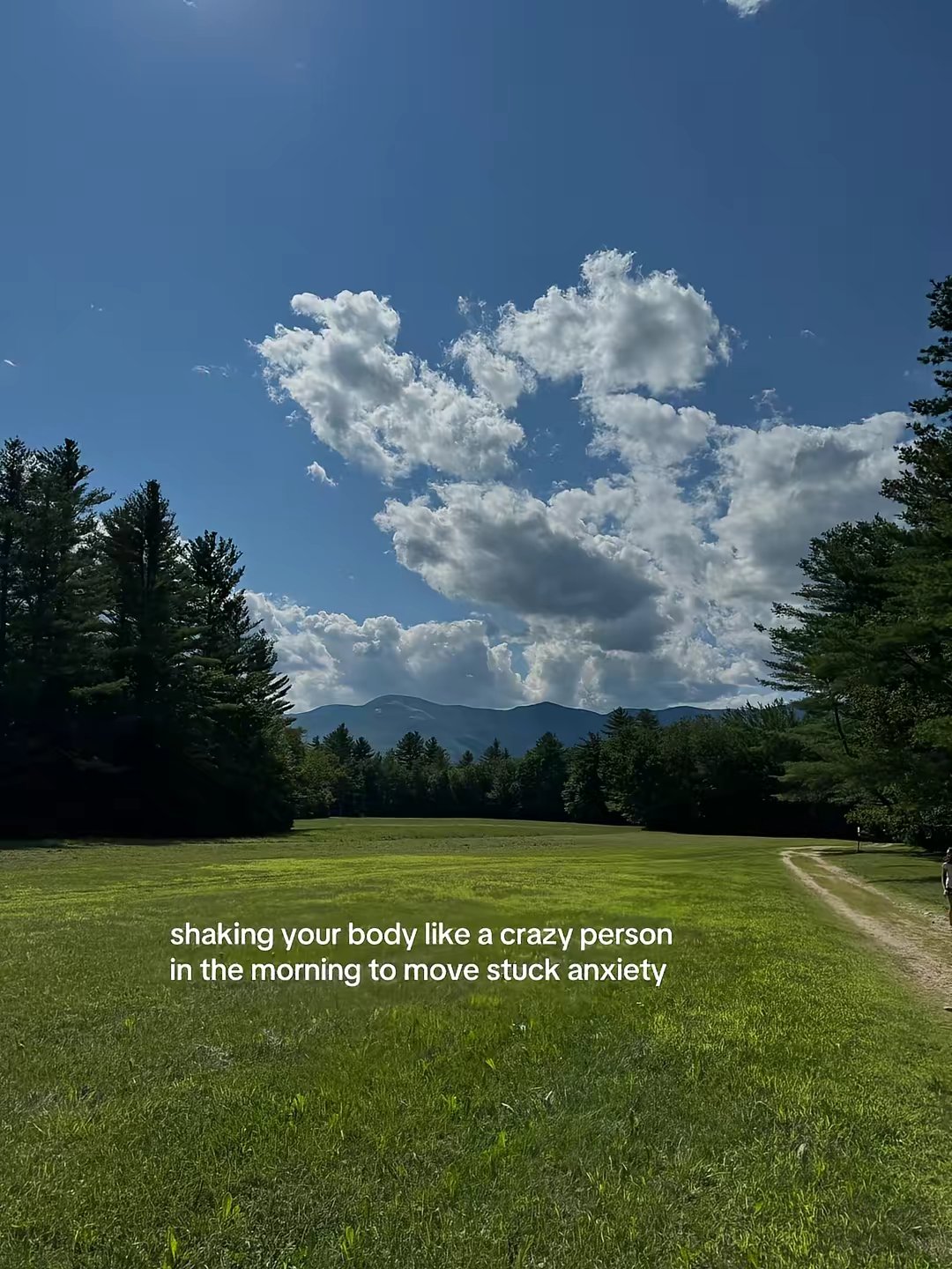 Nervous System Healing Coaching by @audreyabrothers slide 15
