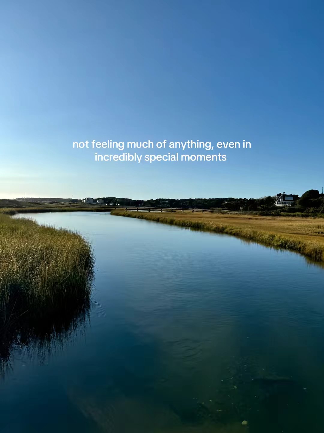 Nervous System Healing Coaching by @audreyabrothers slide 4