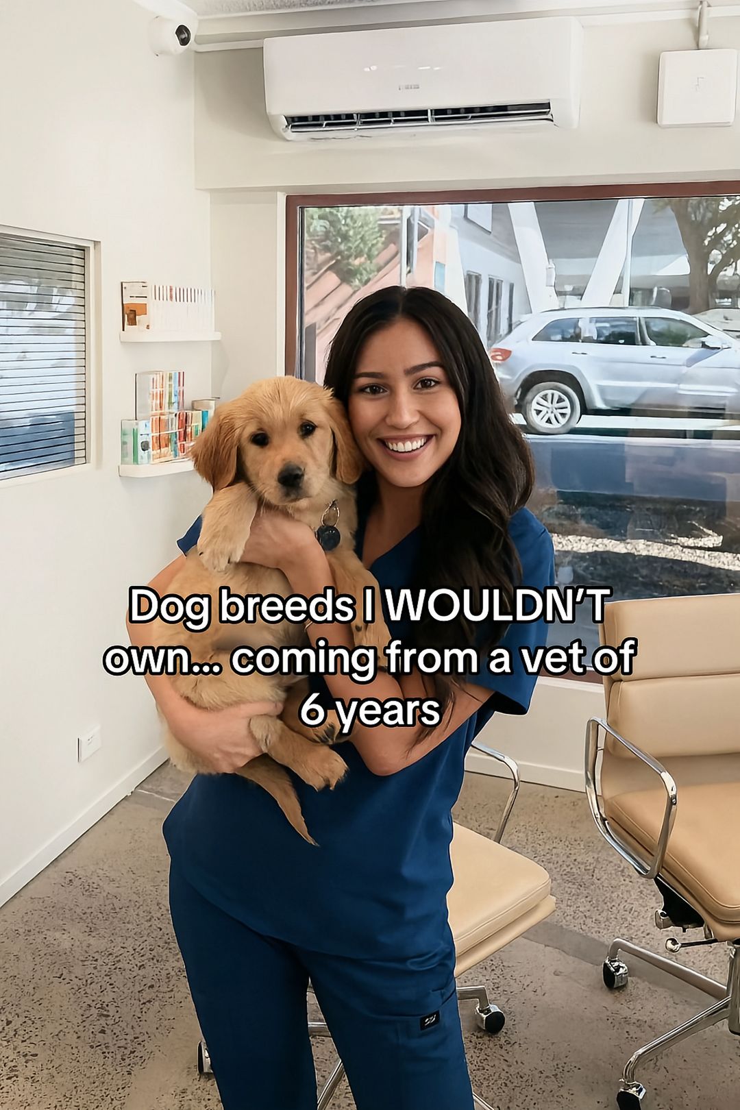 Dog breeds I WOULDN'T own... coming from a vet of 6 years