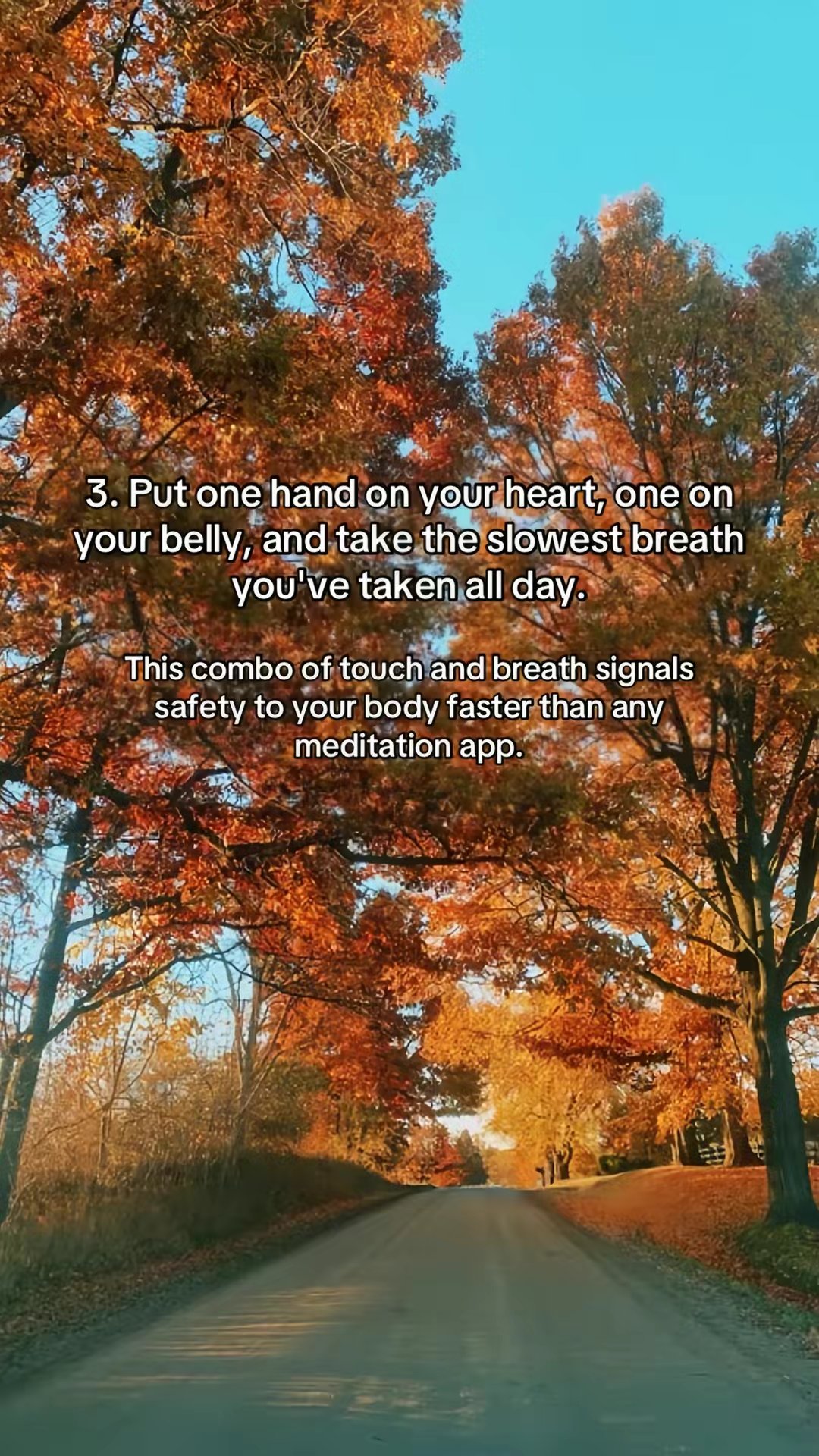 Somatic Therapy Book Bundle by @cher.spirit slide 4