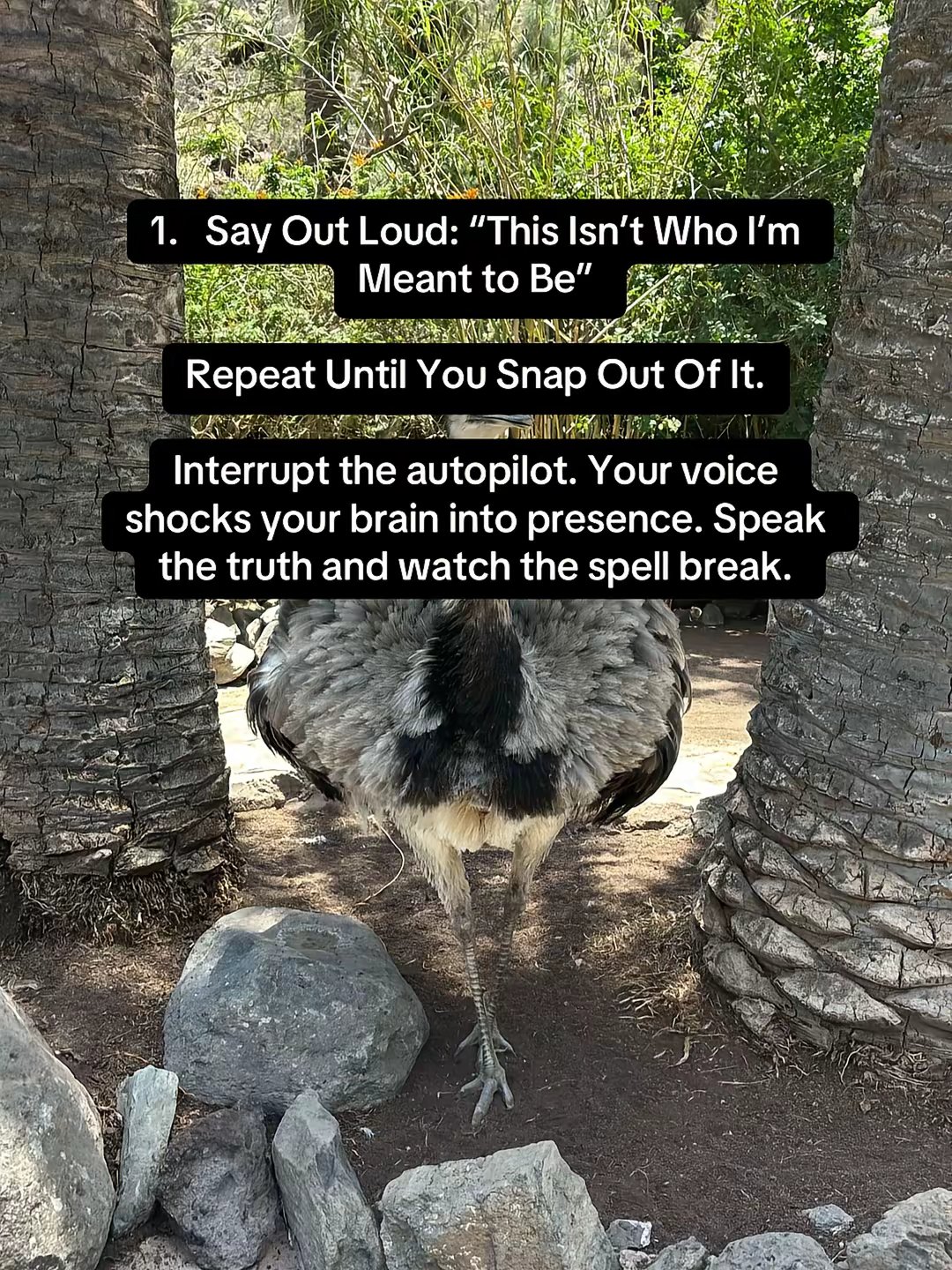 Mindset Coaching And Content Creation by @chey.jada slide 2