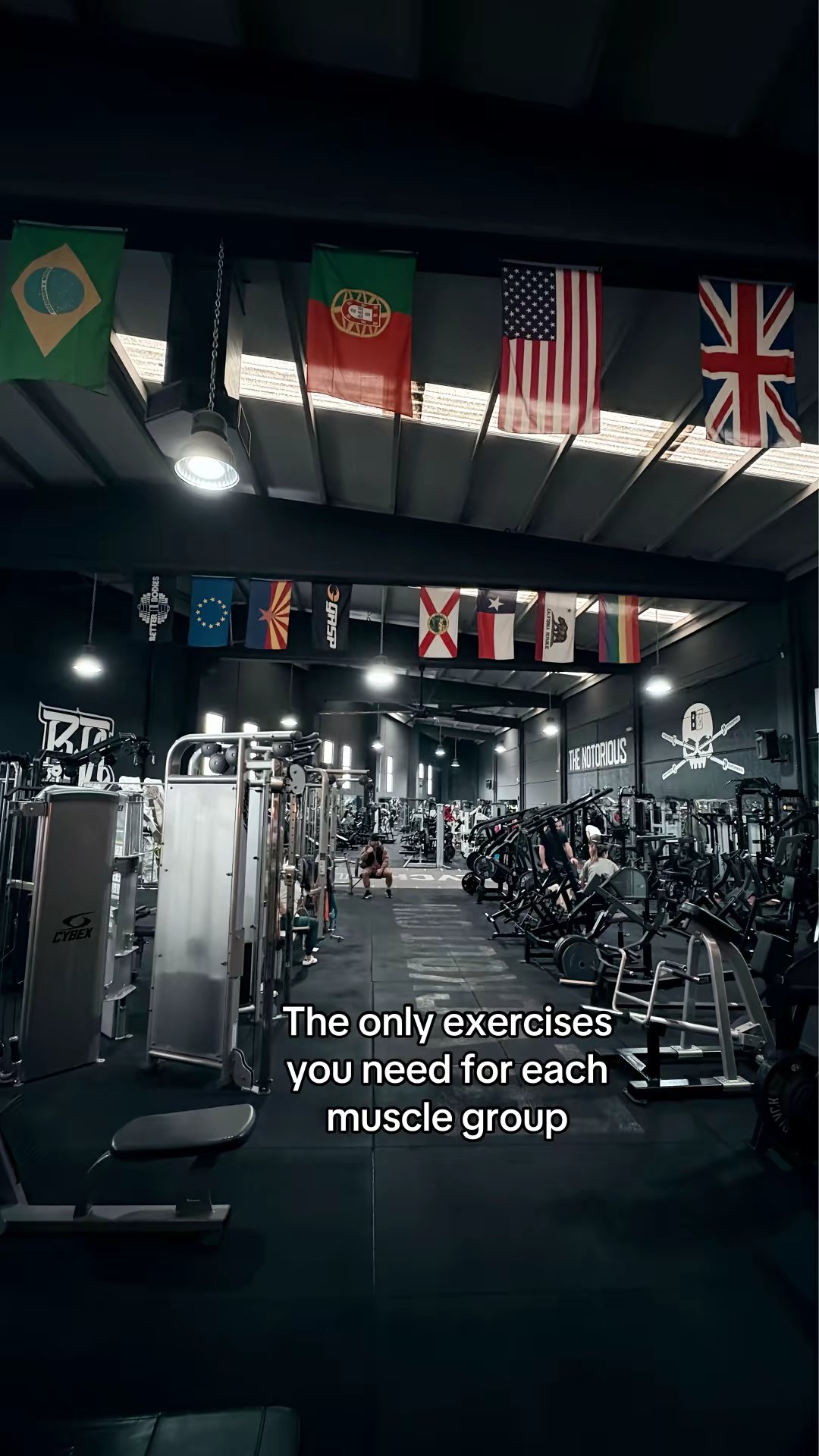 The only exercises
you need for each
muscle group