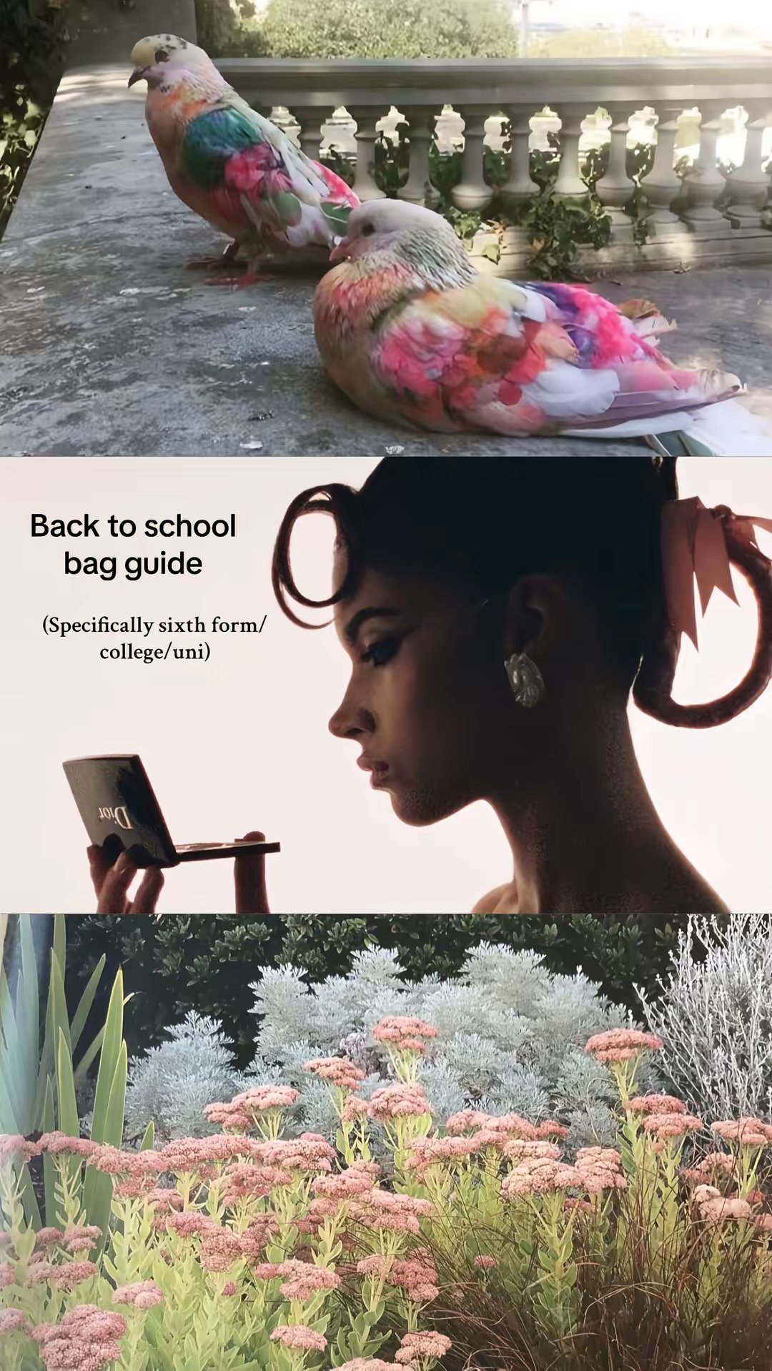 Back to school bag guide (Specifically sixth form/college/uni)