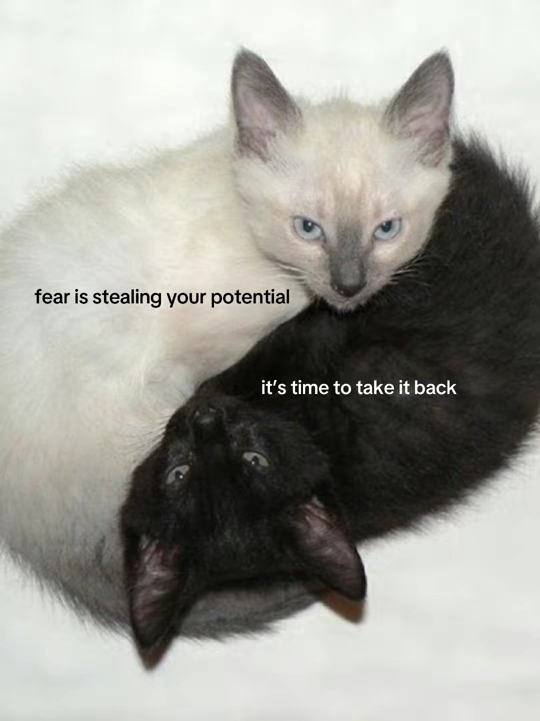fear is stealing your potential
it's time to take it back