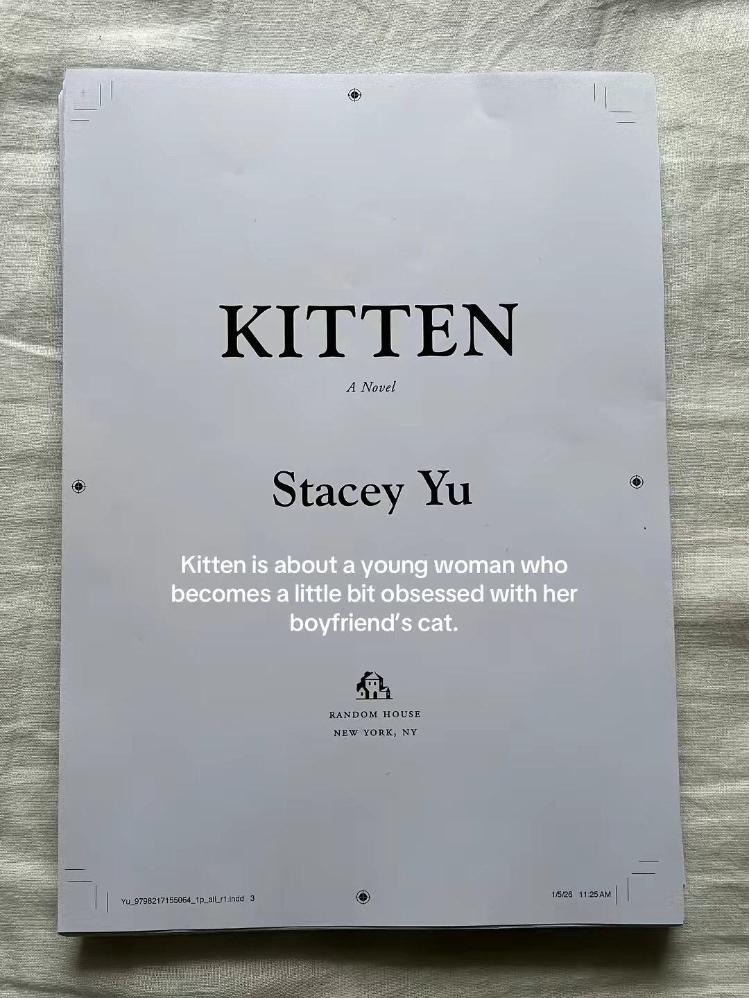 Debut Novel "kitten" by @literaryfling slide 2