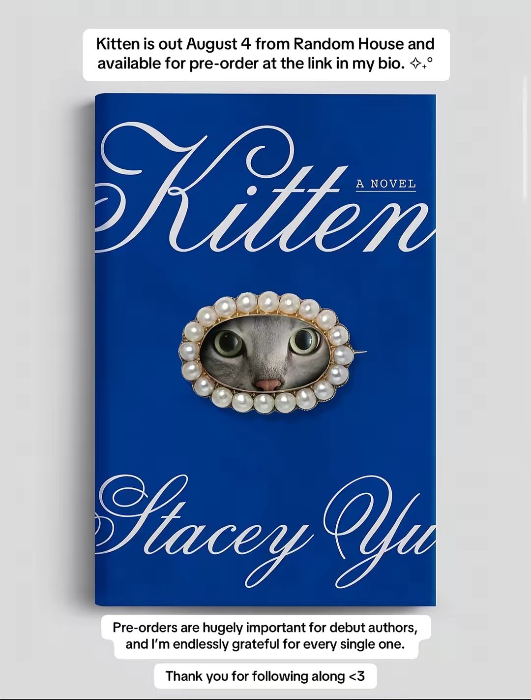 Debut Novel "kitten" by @literaryfling slide 11