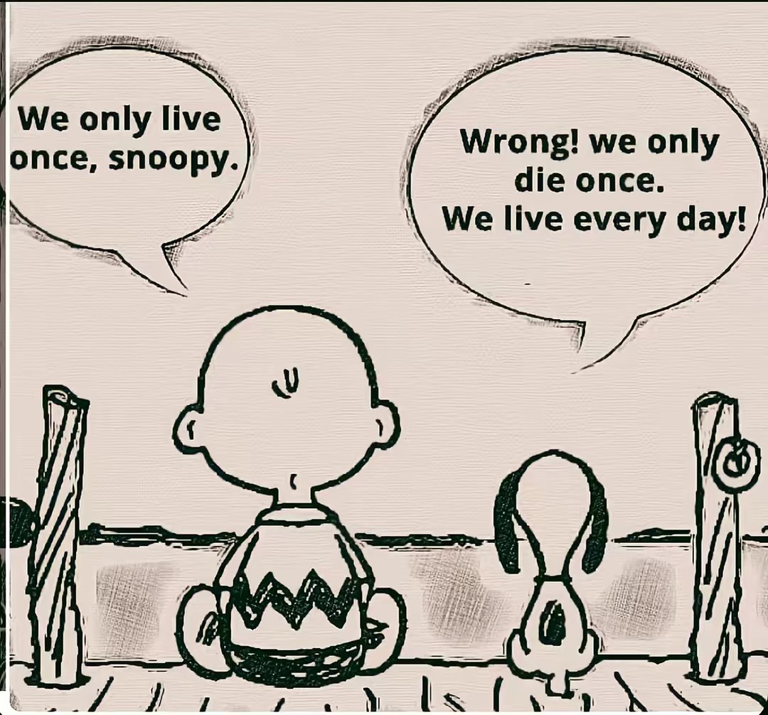 We only live once, snoopy. Wrong! we only die once. We live every day!