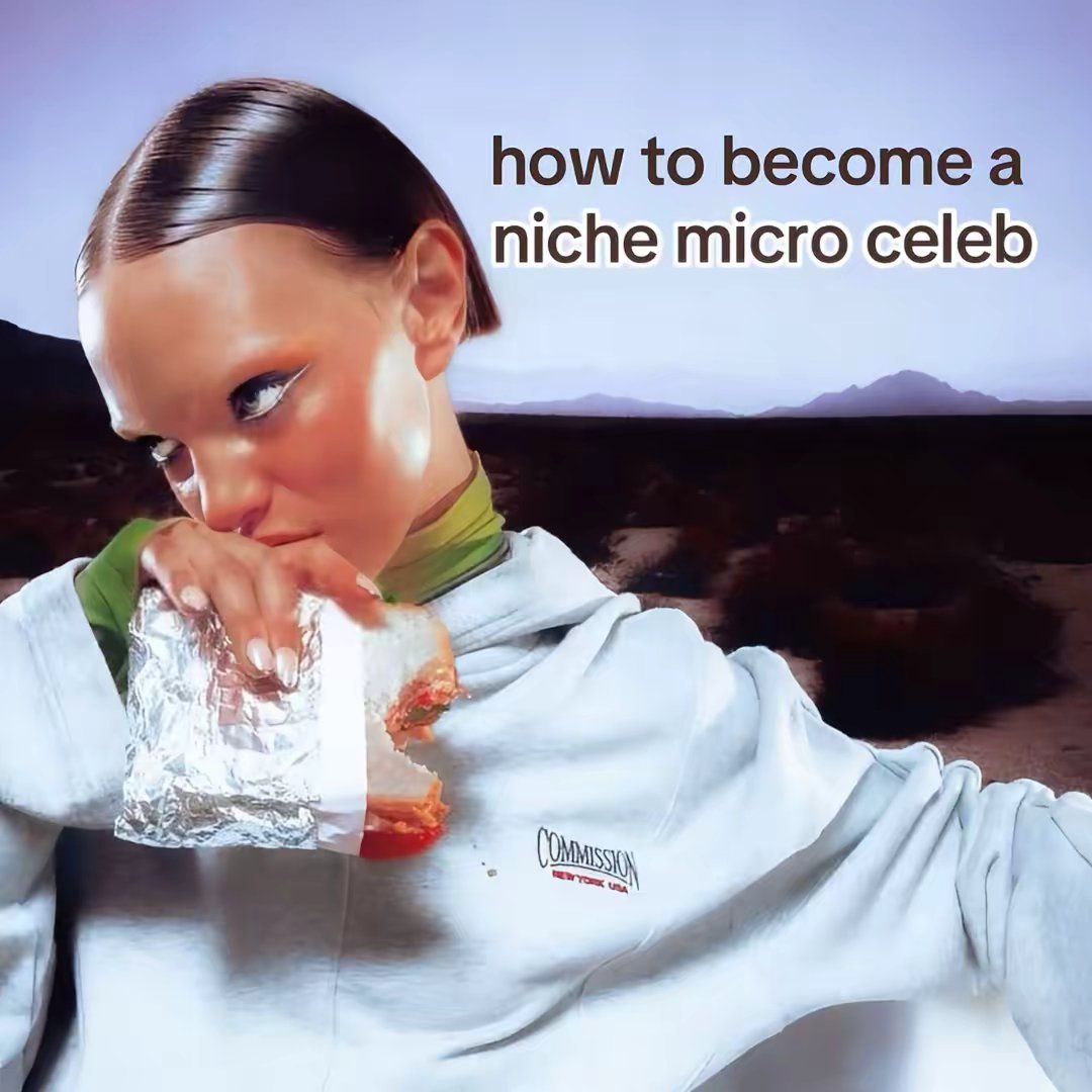 how to become a niche micro celeb
