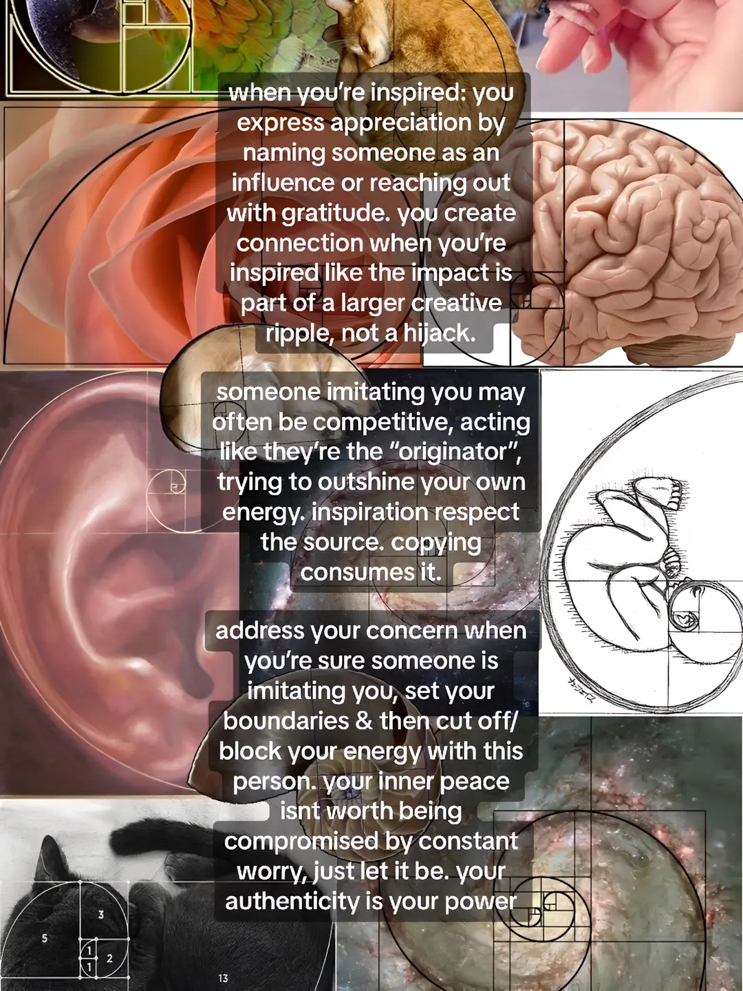 Nervous System Healing Resources by @regulatednervoussystem slide 7