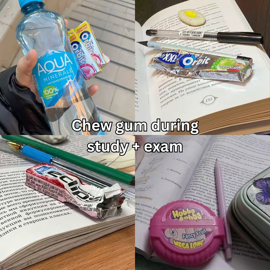 None by @study.tips.hub slide 3