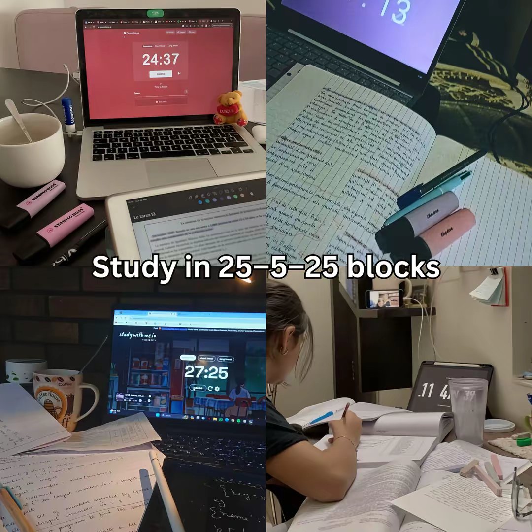 None by @study.tips.hub slide 6
