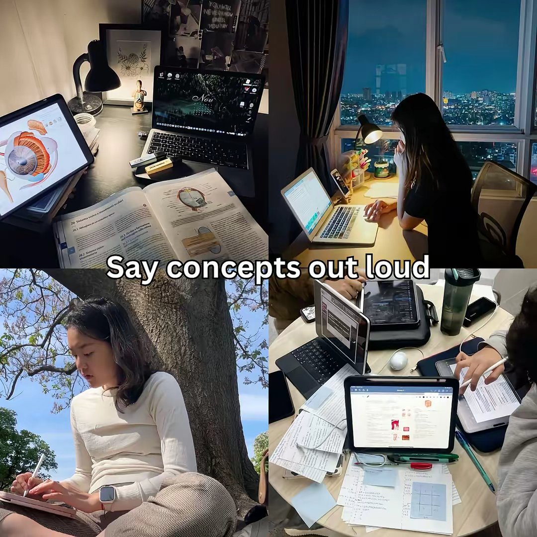None by @study.tips.hub slide 7