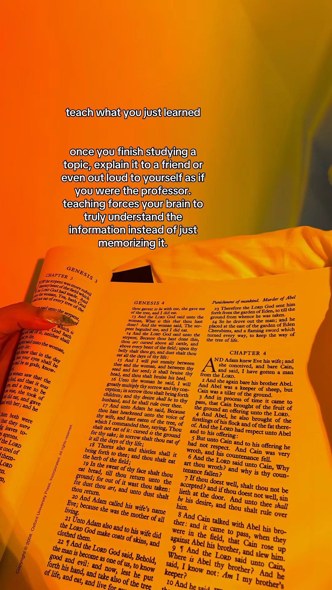 None by @studyfetchnami slide 7