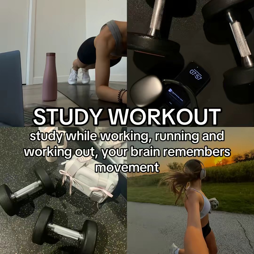 Scrolltostudy App For Students by @studywith.evelyn slide 4