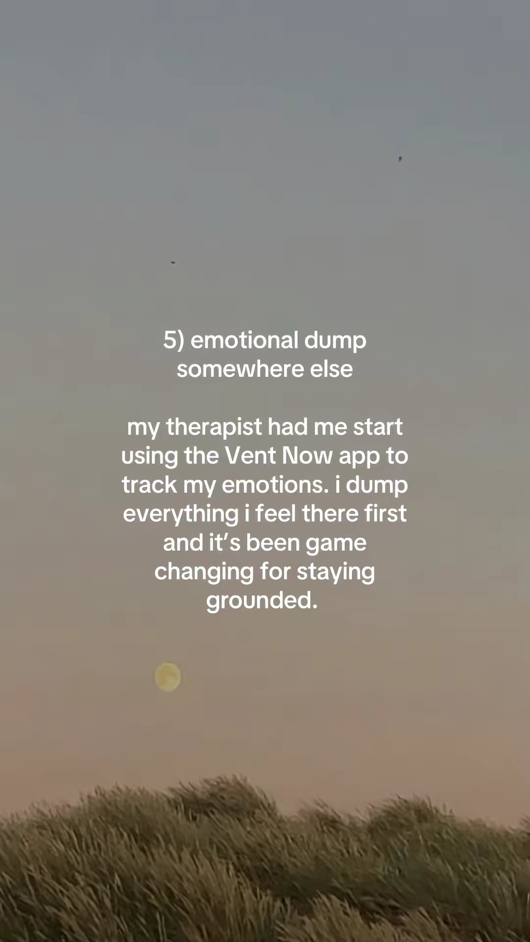 Vent Now App Affiliate by @sunnythegal slide 6