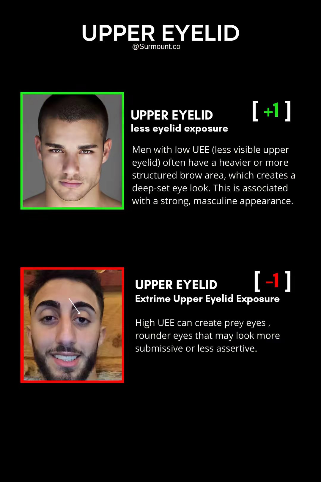 Appearance Enhancement Affiliate Products by @surmountco slide 8